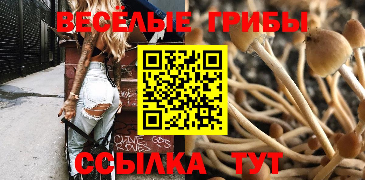Мичуринск  Галлюциногенные грибы Psilocybe  Вход с VPN 